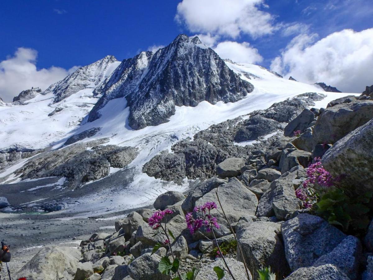Alpencolor Hotel Tonale ปัสโซเดลโตนาเล ภายนอก รูปภาพ